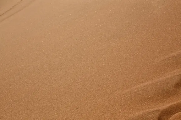 Kasino Bingo Millionaire Sokongan